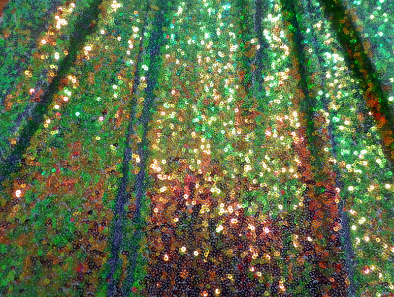 5.Mint Iridescent Sequins On Mesh